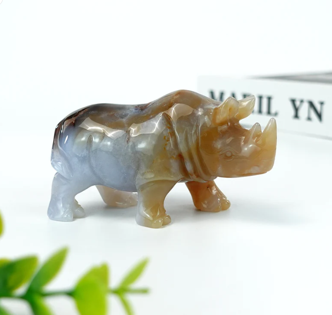 rhino 1